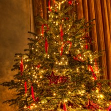 Our Xmas Tree
